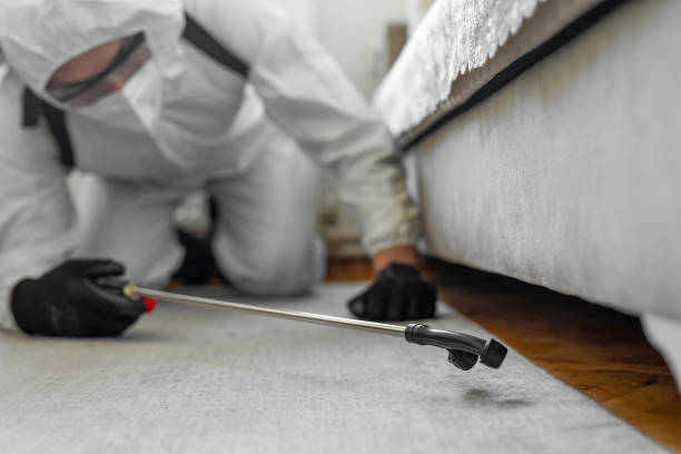 Professional Pest Control technician working in Swain County County, NC